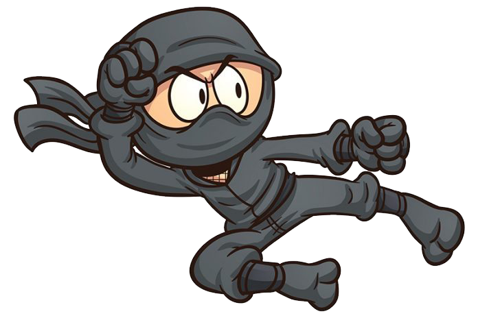 Domein Ninja mascotte